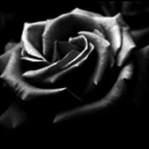 Meet your Posher, Megher